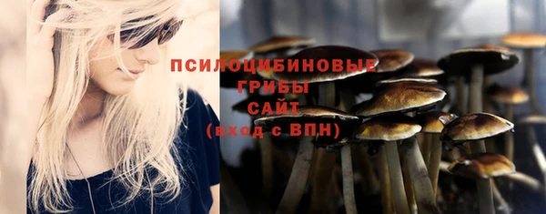 крисы Алексеевка