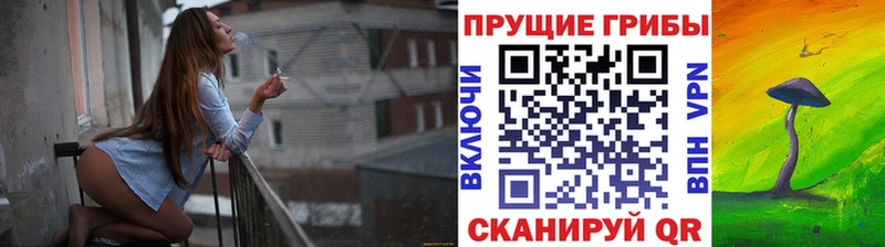 Галлюциногенные грибы MAGIC MUSHROOMS  mega ссылки  Борзя 