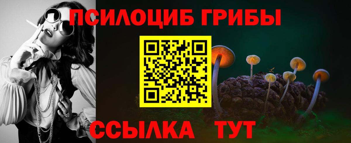 Псилоцибиновые грибы MAGIC MUSHROOMS  где продают наркотики  Борзя  Вход с VPN 